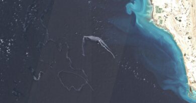 Guerre au Moyen-Orient : des nappes d’hydrocarbure repérées à Ormuz après des tirs américains sur des pétroliers