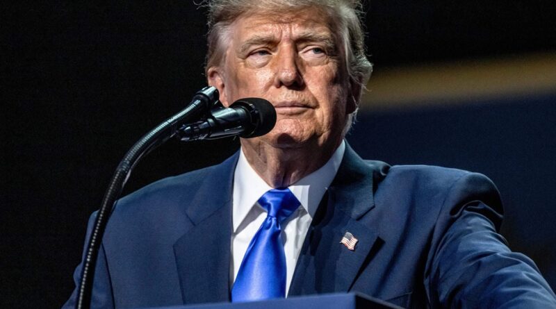 Guerre en Ukraine : Trump estime que Zelensky et Poutine « se détestent » comme obstacle à la paix.