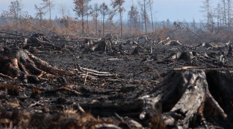 Incendie dans les Fagnes : Anne-Catherine Dalcq réclame plus de cohérence au DNF.