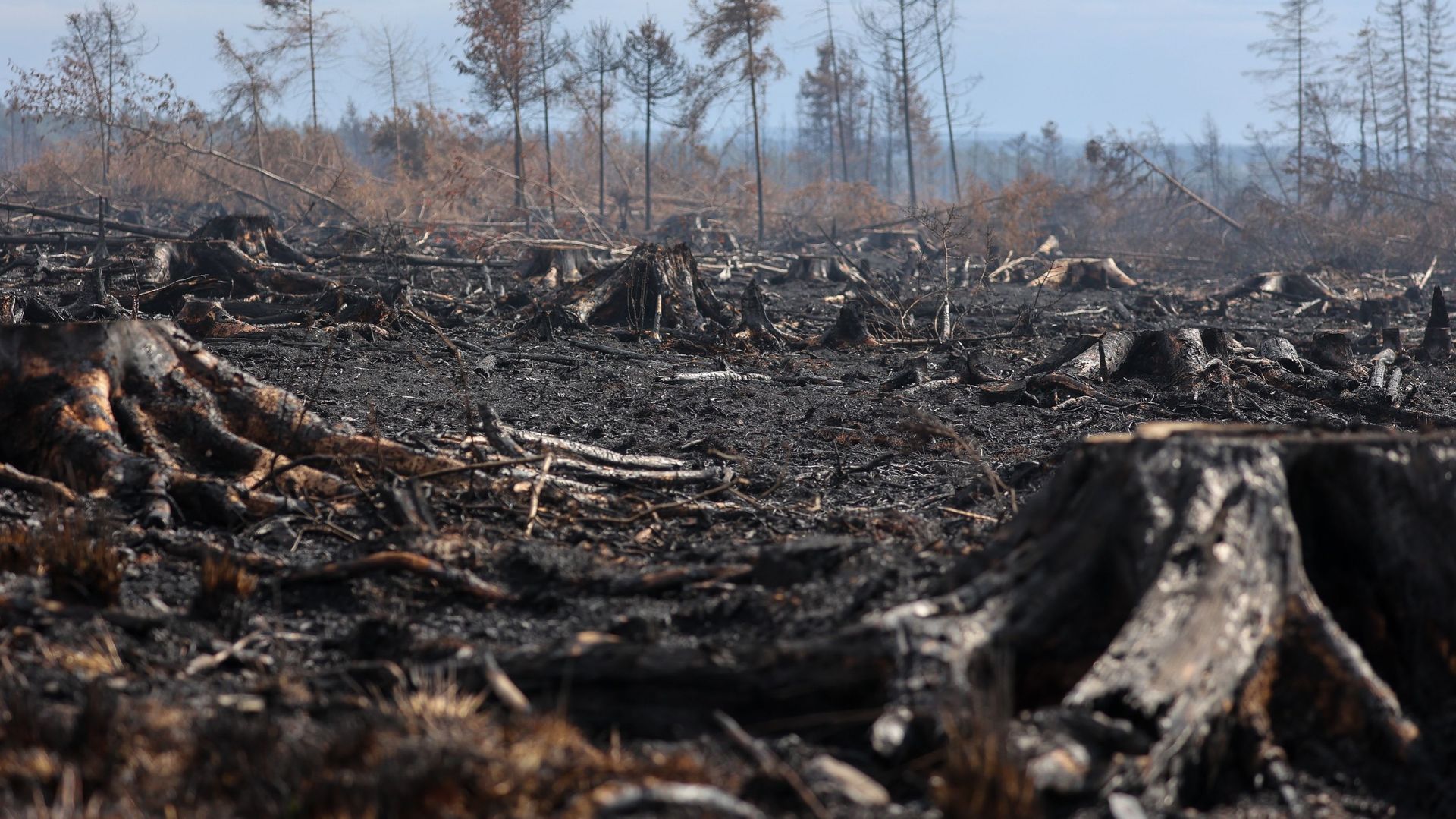 Incendie dans les Fagnes : Anne-Catherine Dalcq réclame plus de cohérence au DNF.