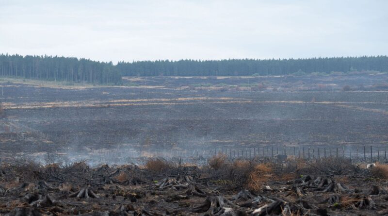 Incendie dans les Fagnes : reprises de feu sur le front est