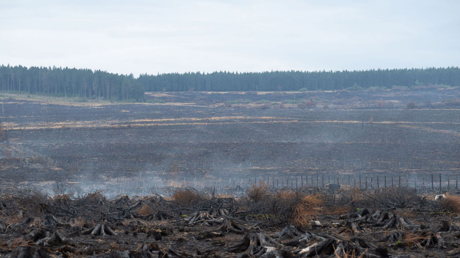 Incendie dans les Fagnes : reprises de feu sur le front est