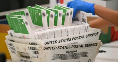 Incertitudes sur le vote par correspondance pour les midterms américaines : décret de Trump et blocage judiciaire
