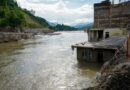 Inondations meurtrières au Népal : vidéo d’un éléphant sauvant un homme menacé.