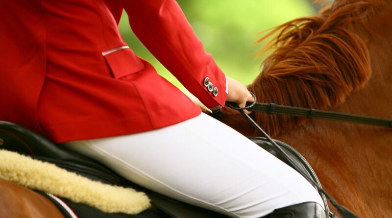 Italie : Une ado devient sourde après une chute de cheval, 600.000 euros à verser par le centre équestre