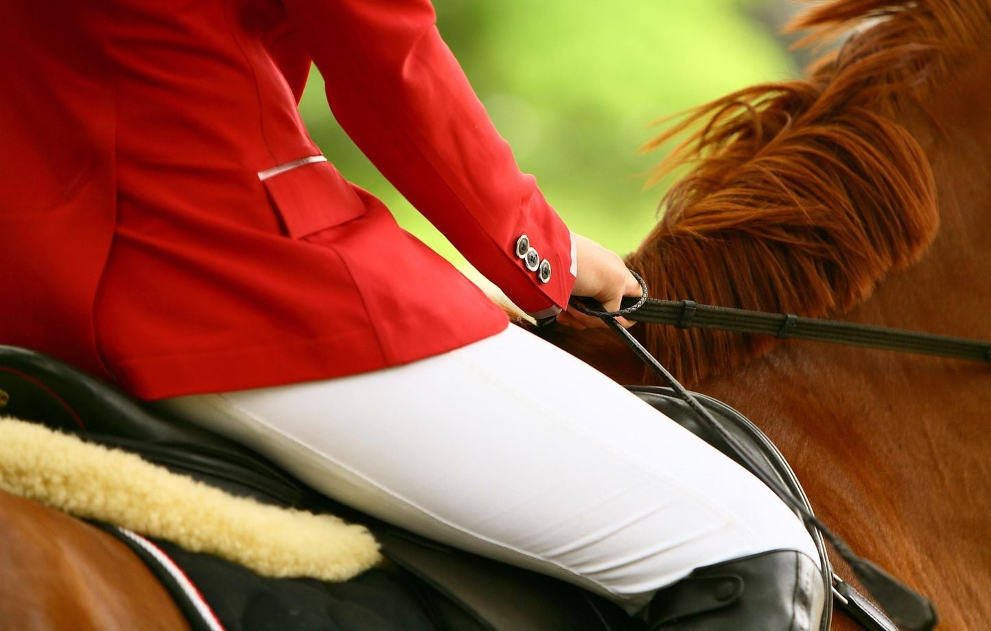 Italie : Une ado devient sourde après une chute de cheval, 600.000 euros à verser par le centre équestre