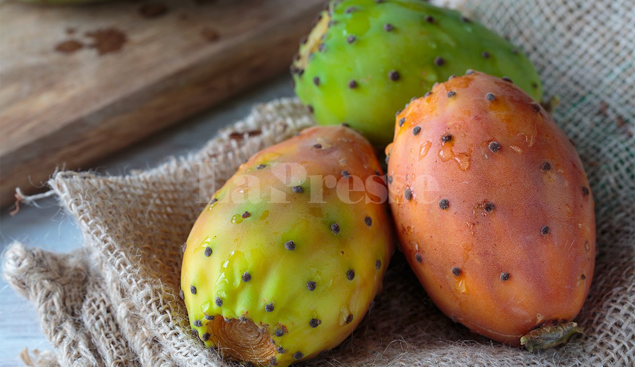 Kasserine en tête malgré une baisse de production de figues de barbarie