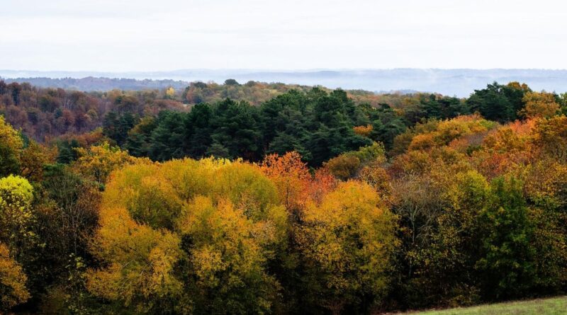 Le 23 septembre marque le début de l’automne