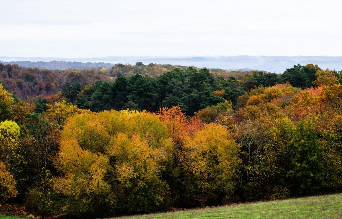 Le 23 septembre marque le début de l’automne