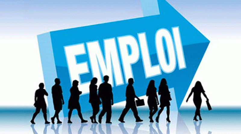 Marché du travail : Le diplôme ne suffit plus désormais !