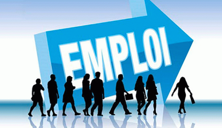 Marché du travail : Le diplôme ne suffit plus désormais !