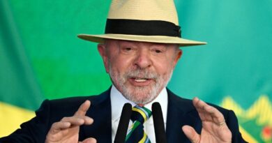 Mercosur : Le Brésil s'oppose à l'embargo européen sur sa viande