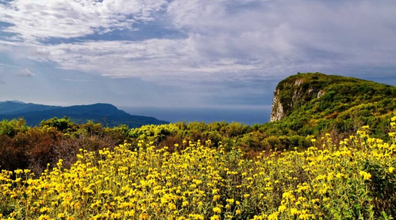 Météo : une journée de chaleur avec peu de nuages
