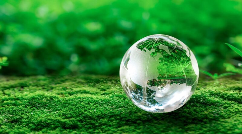 "Mobilisation à Bruxelles : l'urgence climatique, si le combat est mort"