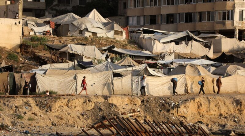 Palestine : Le haut représentant pour Gaza craint une solution à deux États « impossible »