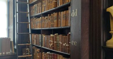 Pays-Bas : un extrait de L’Odyssée vieux de 1 700 ans découvert dans une bibliothèque