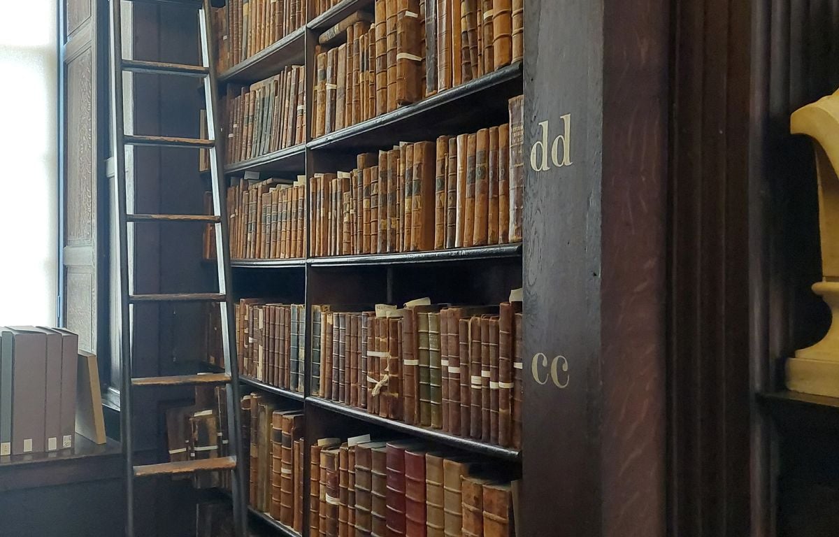 Pays-Bas : un extrait de L’Odyssée vieux de 1 700 ans découvert dans une bibliothèque