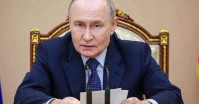 Russie : Poutine cède les actifs de Nestlé, Auchan et ex-Leroy Merlin à une société russe
