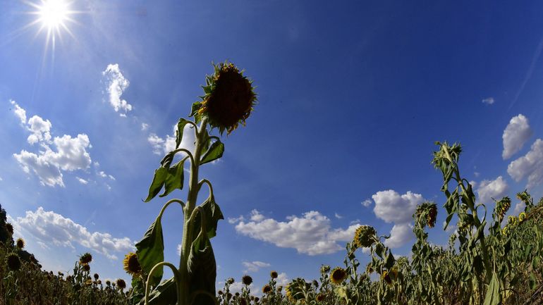 Sécheresse persistante: impacts sur les captages d’eau potable et les cours d’eau