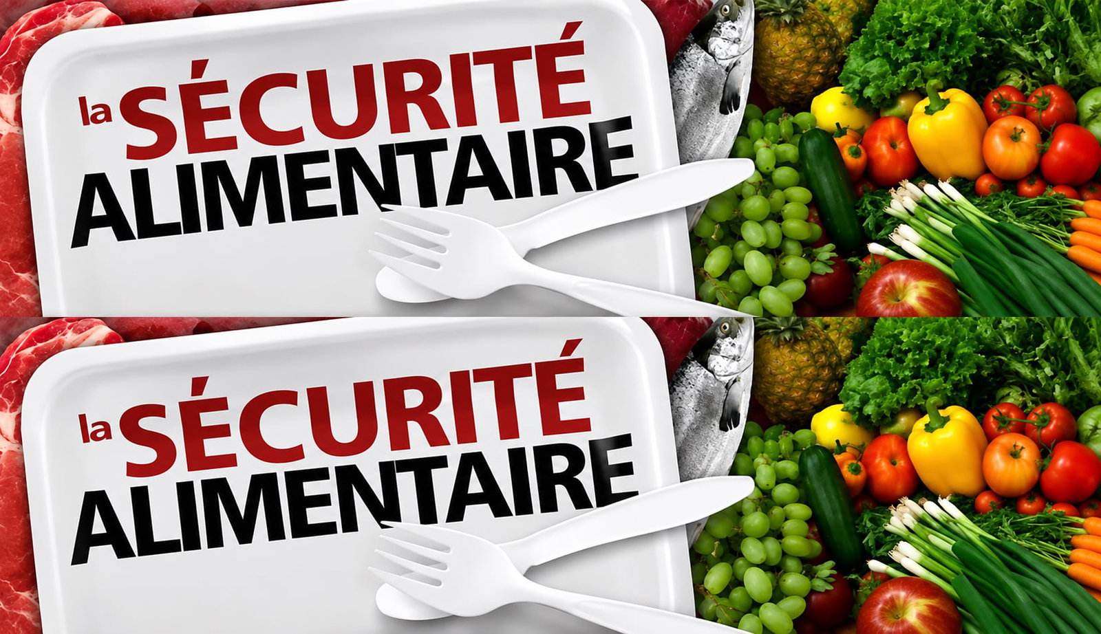 Sécurité alimentaire : Les banques multilatérales sécurisent les chaînes d'approvisionnement en engrais