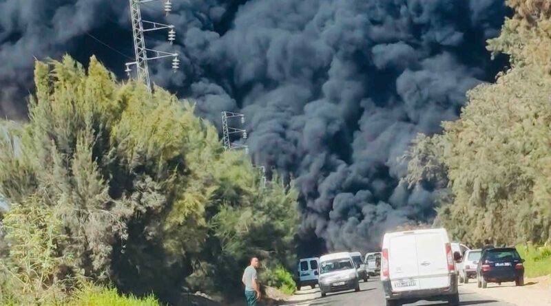 Sfax : l'incendie de Sakiet Ezzit maîtrisé à 100%