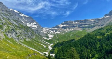 Suisse : trois personnes meurent dans le crash d’un petit avion