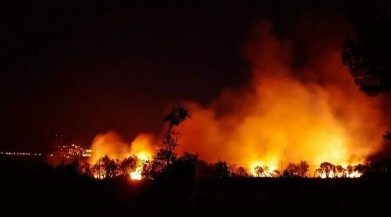 Un feu de forêt ravage 250 hectares en France, dans l'Aude.
