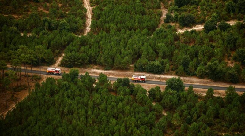 Vague de chaleur en Gironde : Renforcement des moyens face au risque de feu