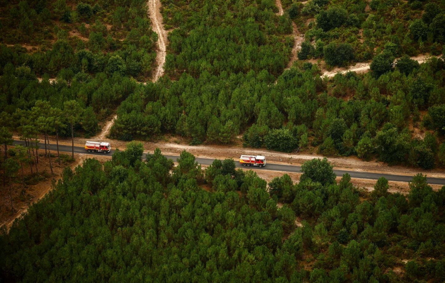 Vague de chaleur en Gironde : Renforcement des moyens face au risque de feu