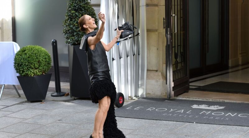 Vinyles, documentaires, chaussettes, macarons… Céline Dion, est-ce qu’on n’en fait pas trop ?