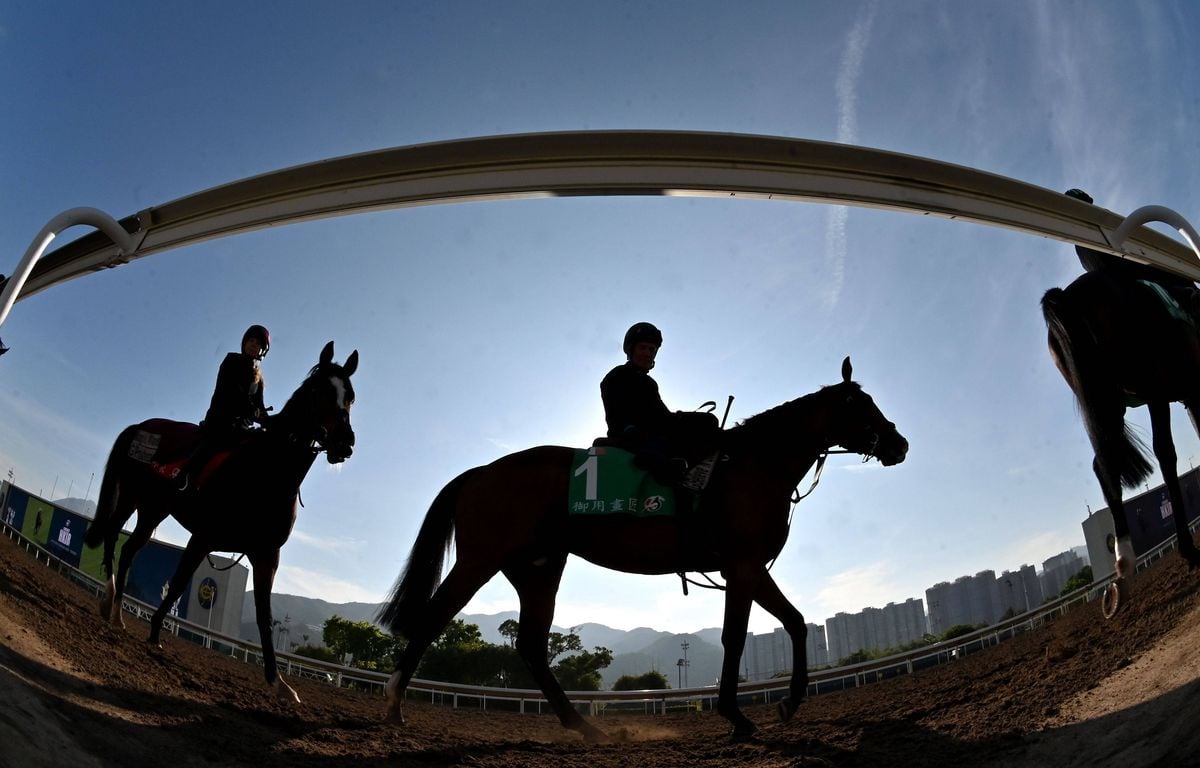 À l’hippodrome de Sedgefield, un jockey blessé a été transporté à l’hôpital dans un van à chevaux, le site condamné à une amende