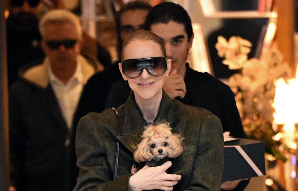 Les concerts de Céline Dion à Paris auraient rapporté 125,5 millions de dollars de billetterie
